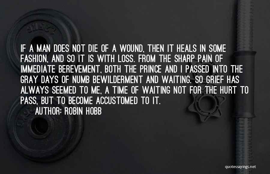 Only Time Heals Pain Quotes By Robin Hobb