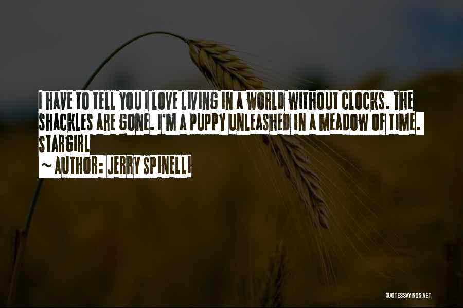 Only Time Will Tell Love Quotes By Jerry Spinelli