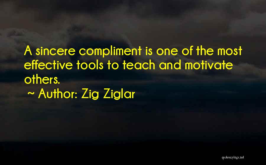 Only You Can Motivate Yourself Quotes By Zig Ziglar