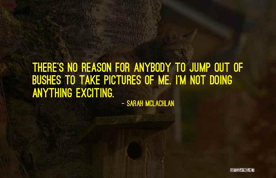 Onlyatthecrown Quotes By Sarah McLachlan Onlyatthecrown Quotes By Sarah McLachlan