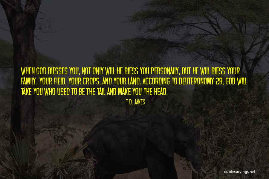 Onmiddellijke Quotes By T.D. Jakes Onmiddellijke Quotes By T.D. Jakes