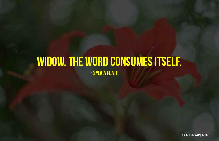 Onnodigonta Quotes By Sylvia Plath Onnodigonta Quotes By Sylvia Plath