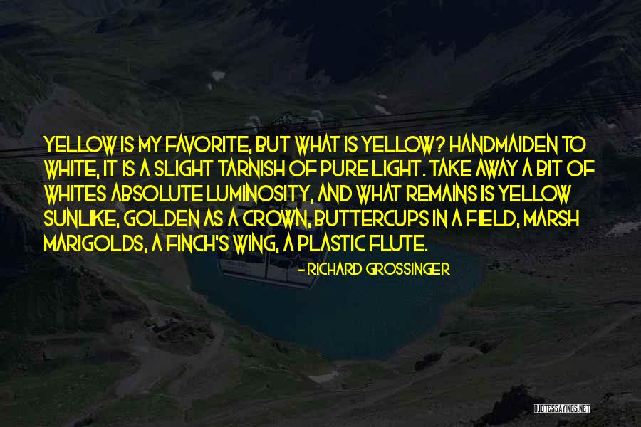Onsager Reciprocal Relations Quotes By Richard Grossinger Onsager Reciprocal Relations Quotes By Richard Grossinger