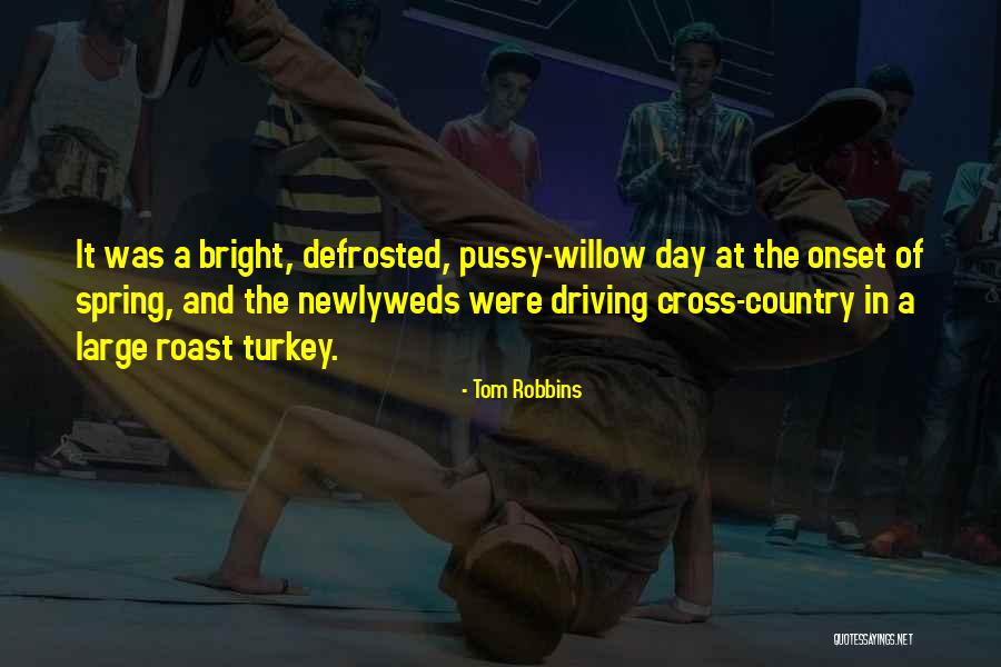 Onset Quotes By Tom Robbins