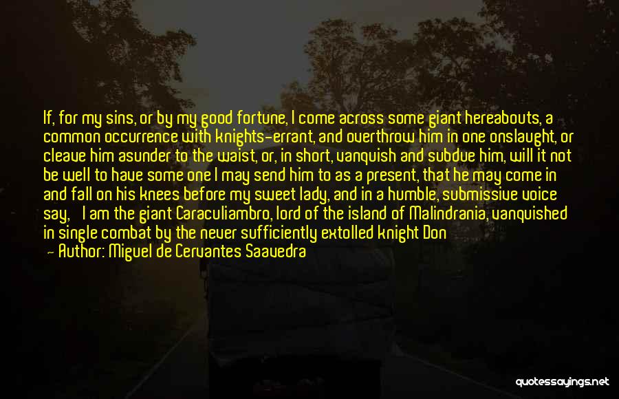 Onslaught Quotes By Miguel De Cervantes Saavedra