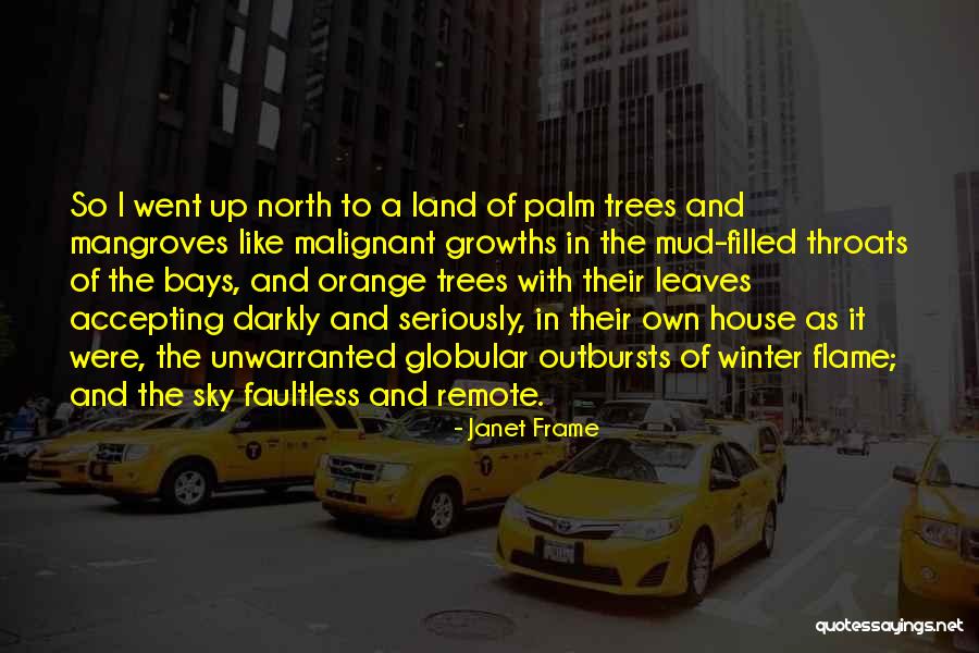 Onsuzam Quotes By Janet Frame Onsuzam Quotes By Janet Frame