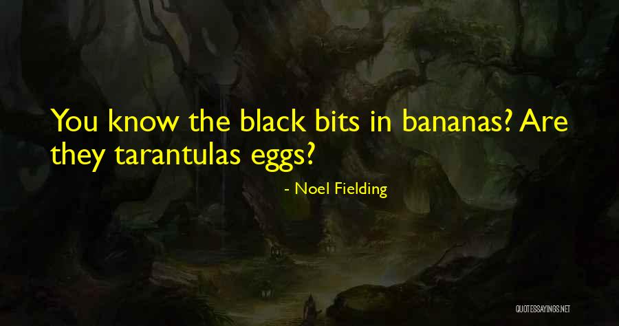 Ontem Quotes By Noel Fielding Ontem Quotes By Noel Fielding