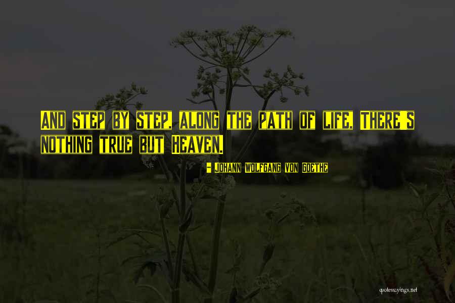 Ontmoeten Vervoegen Quotes By Johann Wolfgang Von Goethe Ontmoeten Vervoegen Quotes By Johann Wolfgang Von Goethe