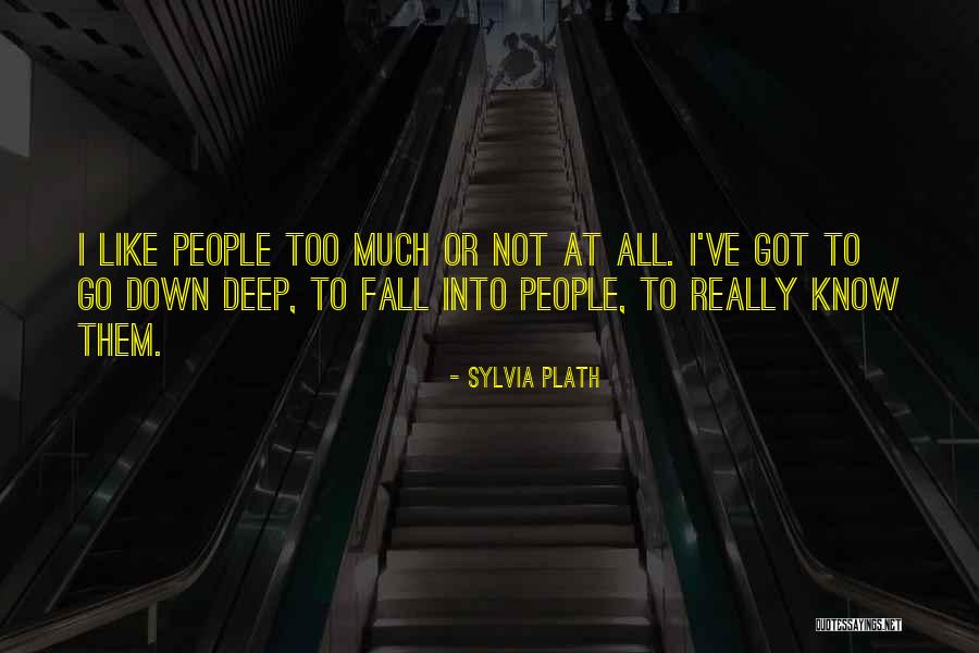 Ontmoeten Vervoegen Quotes By Sylvia Plath Ontmoeten Vervoegen Quotes By Sylvia Plath