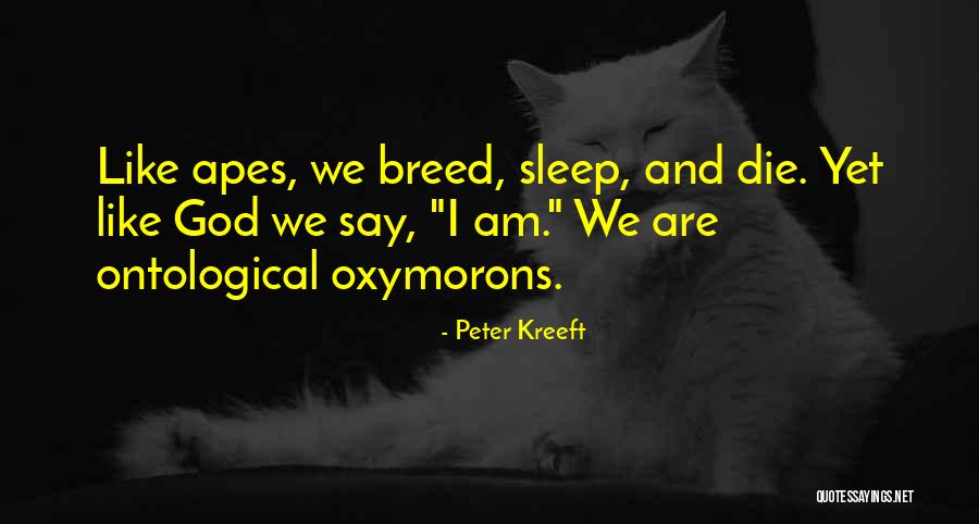 Ontological Quotes By Peter Kreeft