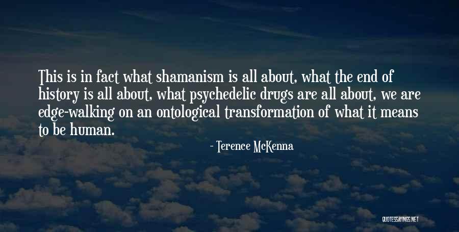 Ontological Quotes By Terence McKenna