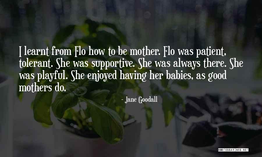 Onuma Factory Quotes By Jane Goodall Onuma Factory Quotes By Jane Goodall