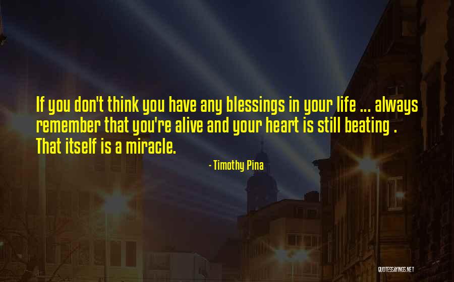 Onverwacht Cottages Quotes By Timothy Pina Onverwacht Cottages Quotes By Timothy Pina