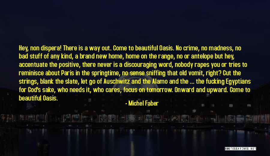 Onward Upward Quotes By Michel Faber