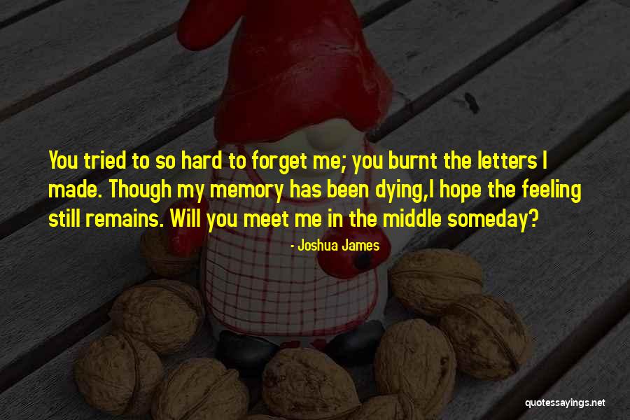 Ooak Quotes By Joshua James Ooak Quotes By Joshua James
