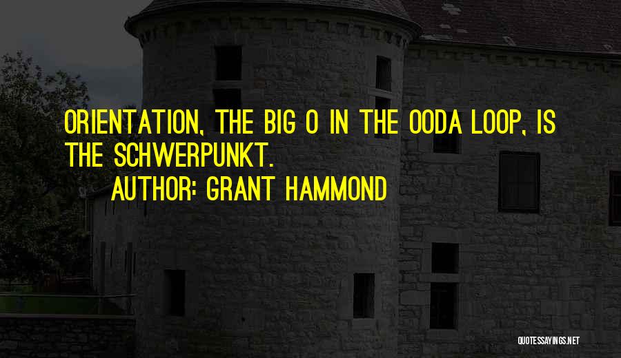 Ooda Loop Quotes By Grant Hammond