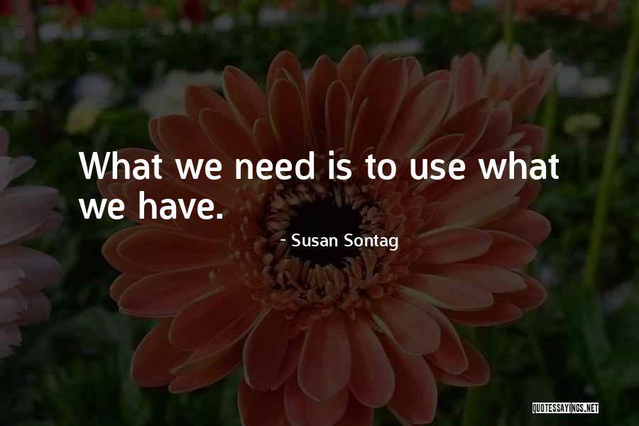 Oods Apartmen Quotes By Susan Sontag Oods Apartmen Quotes By Susan Sontag