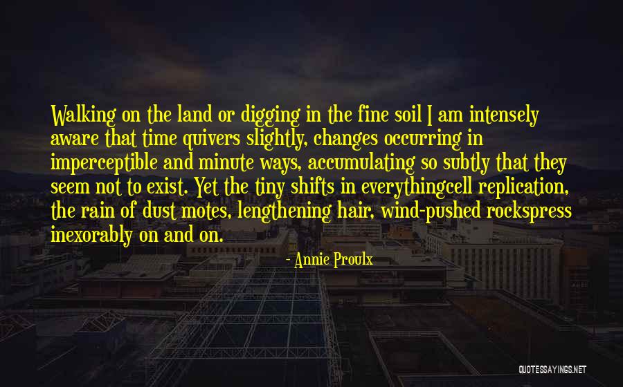 Oods Aveda Quotes By Annie Proulx Oods Aveda Quotes By Annie Proulx