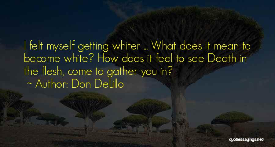 Oogway Quotes By Don DeLillo