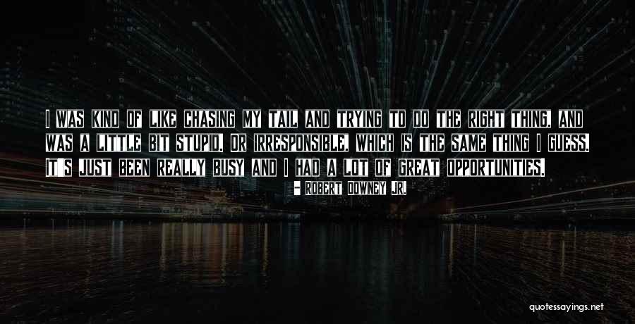 Ookie Dookie Quotes By Robert Downey Jr. Ookie Dookie Quotes By Robert Downey Jr.