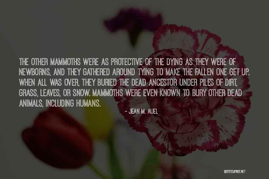 Oomori Kinuko Quotes By Jean M. Auel Oomori Kinuko Quotes By Jean M. Auel