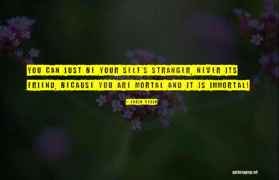 Oomoto Ayano Quotes By Sorin Cerin Oomoto Ayano Quotes By Sorin Cerin