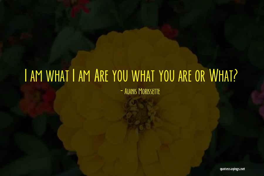 Oostende Fc Quotes By Alanis Morissette Oostende Fc Quotes By Alanis Morissette