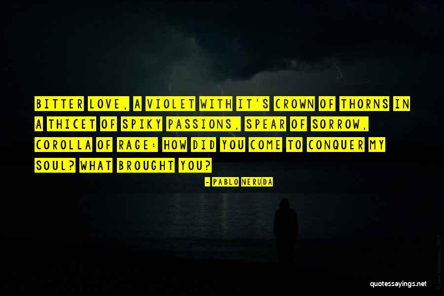 Oosting Masonry Quotes By Pablo Neruda Oosting Masonry Quotes By Pablo Neruda