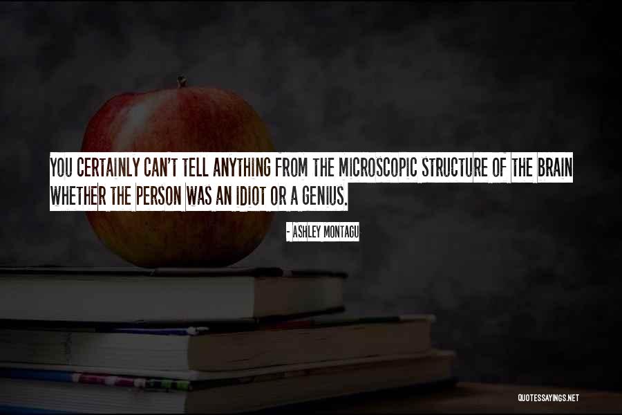 Opabinia Toy Quotes By Ashley Montagu Opabinia Toy Quotes By Ashley Montagu