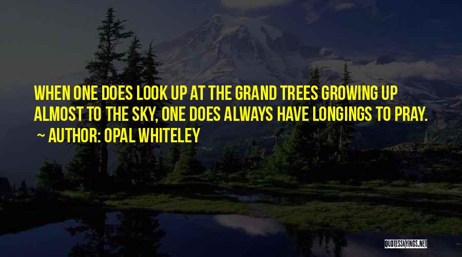 Opal Whiteley Quotes 1461054