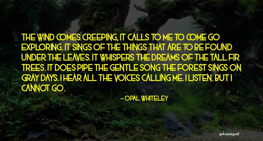 Opal Whiteley Quotes 311866 Opal Whiteley Quotes 311866