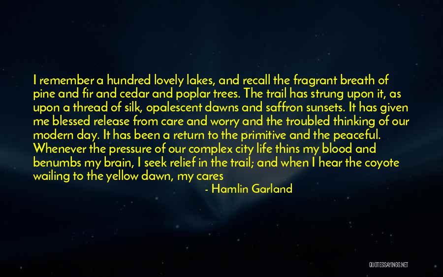 Opalescent Quotes By Hamlin Garland Opalescent Quotes By Hamlin Garland