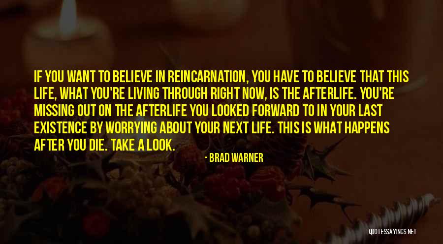 Opalka Tomato Quotes By Brad Warner Opalka Tomato Quotes By Brad Warner