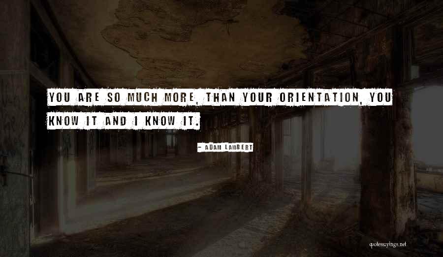 Opasnost Quotes By Adam Lambert Opasnost Quotes By Adam Lambert