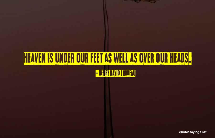 Opazion Quotes By Henry David Thoreau Opazion Quotes By Henry David Thoreau