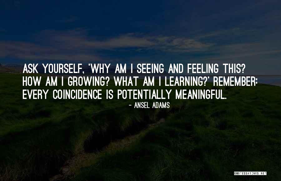 Opekane Quotes By Ansel Adams Opekane Quotes By Ansel Adams