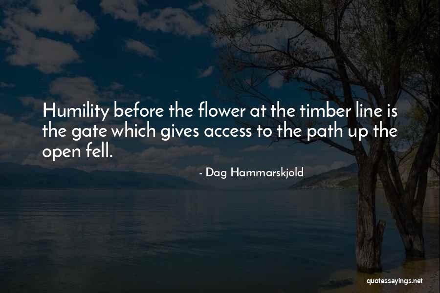 Open Access Quotes By Dag Hammarskjold