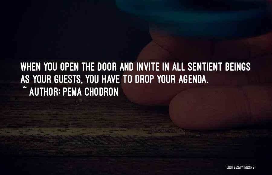Open All Doors Quotes By Pema Chodron