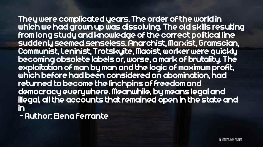 Open Democracy Quotes By Elena Ferrante