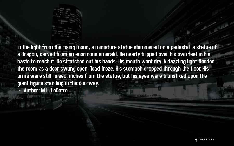 Open Doorway Quotes By M.L. LeGette