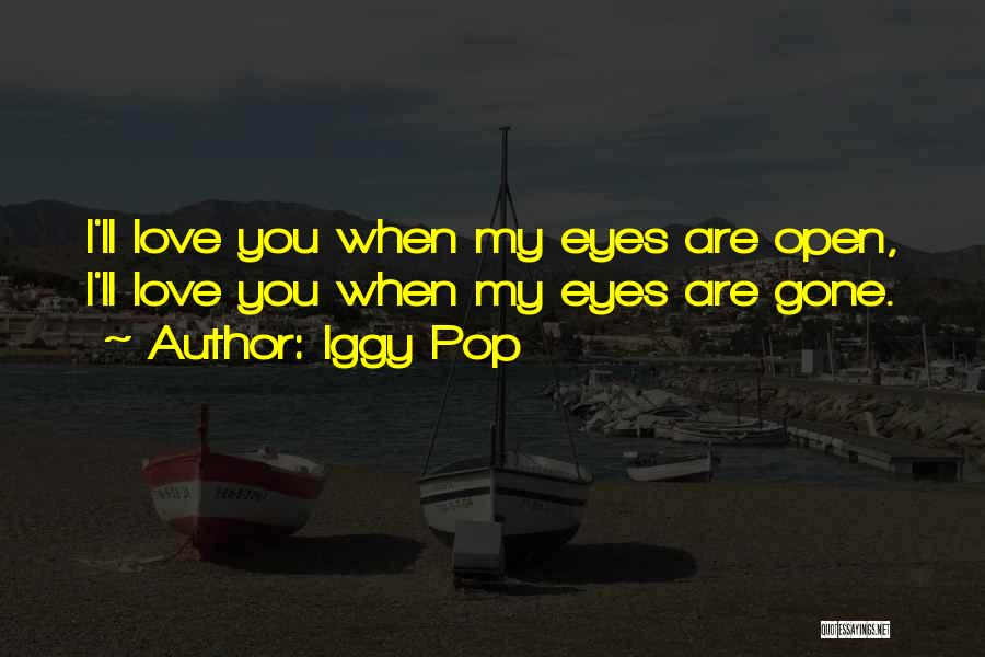 Open Eye Quotes By Iggy Pop