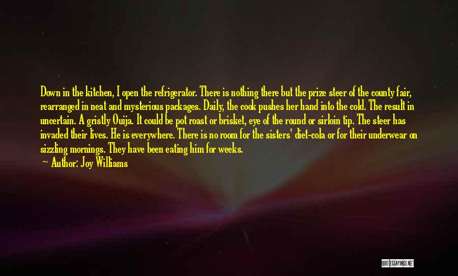 Open Eye Quotes By Joy Williams