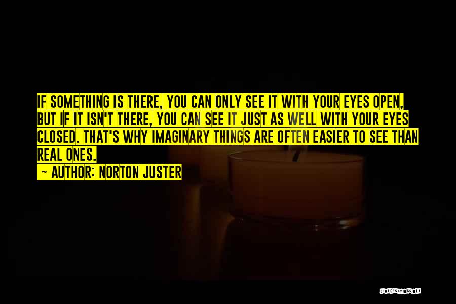 Open Eyes To Reality Quotes By Norton Juster