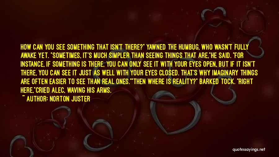 Open Eyes To Reality Quotes By Norton Juster