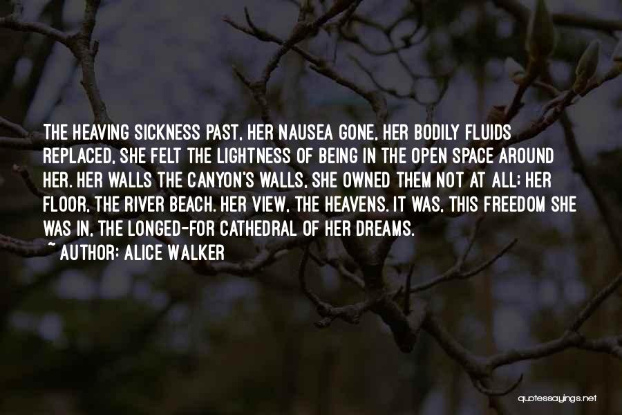 Open Heavens Quotes By Alice Walker