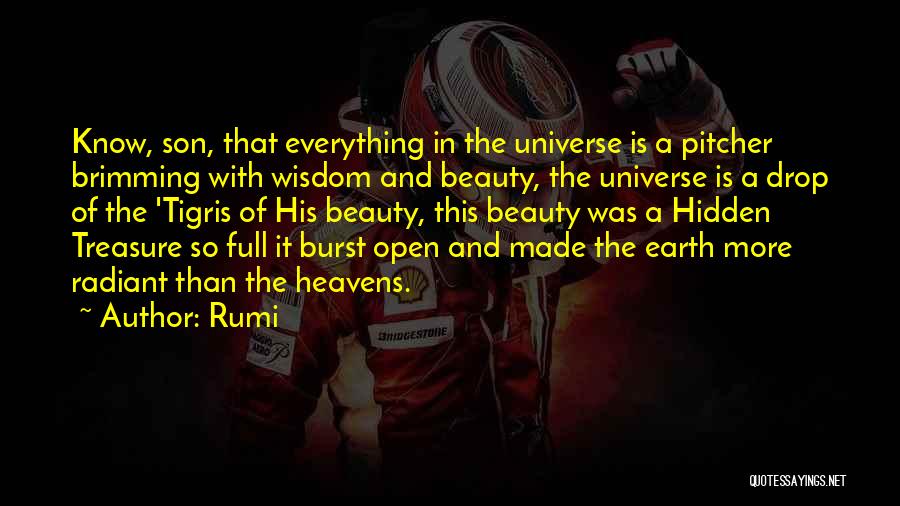 Open Heavens Quotes By Rumi