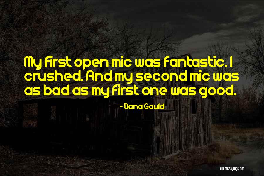 Open Mics Quotes By Dana Gould Open Mics Quotes By Dana Gould
