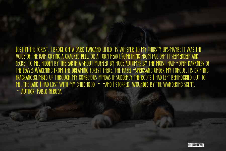 Open Mind And Heart Quotes By Pablo Neruda Open Mind And Heart Quotes By Pablo Neruda
