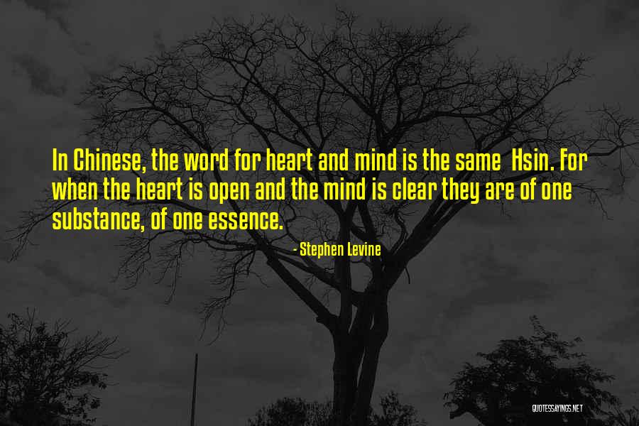 Open Mind And Heart Quotes By Stephen Levine