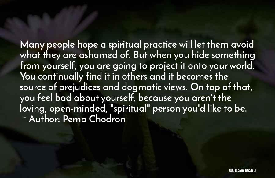 Open Minded Person Quotes By Pema Chodron